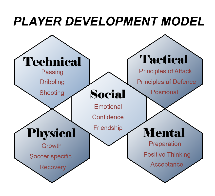 Player Development Model